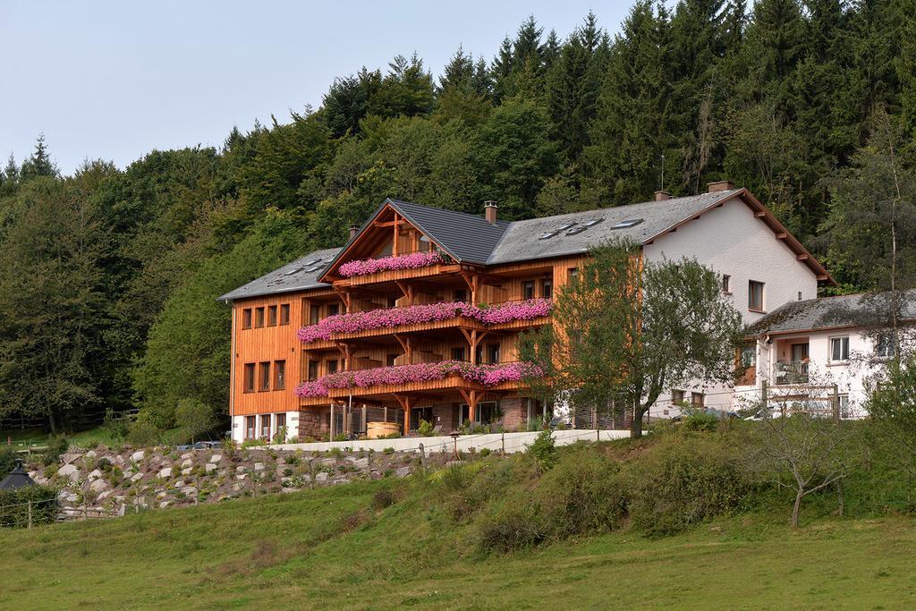 Les Gites D'Adelspach Gites & Spa En Alsace Aubure Exterior foto