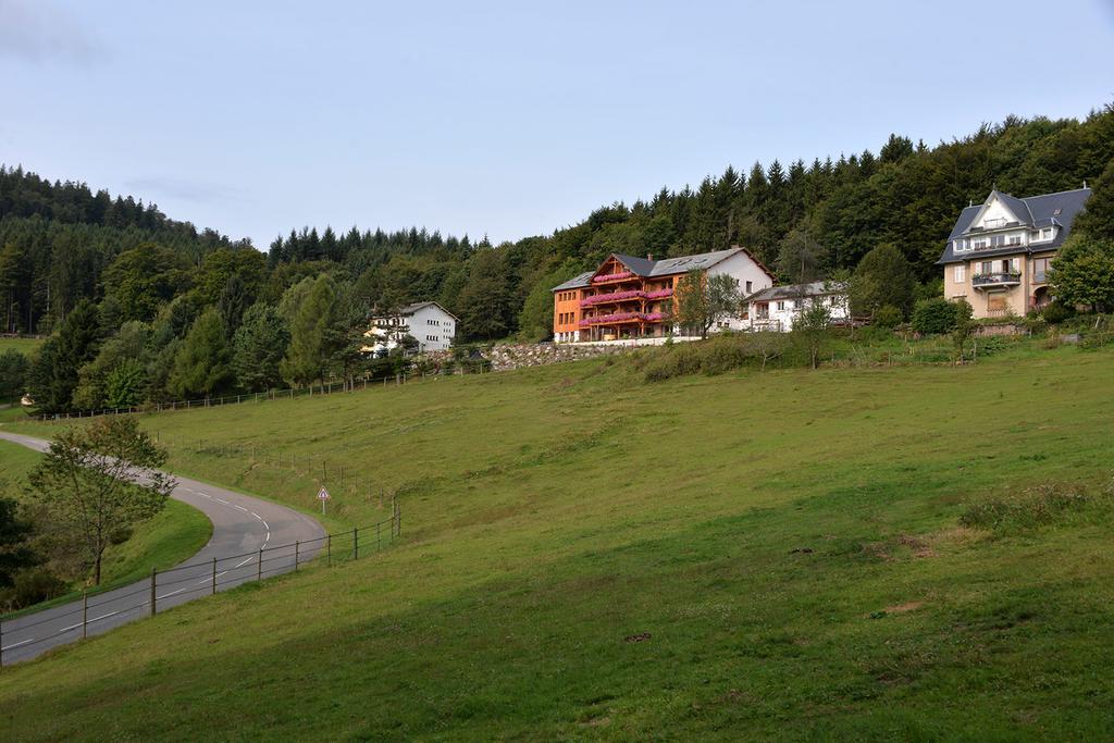 Les Gites D'Adelspach Gites & Spa En Alsace Aubure Exterior foto