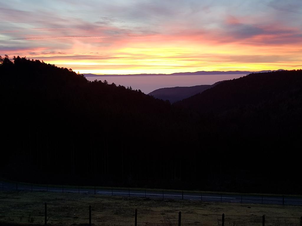 Les Gites D'Adelspach Gites & Spa En Alsace Aubure Exterior foto